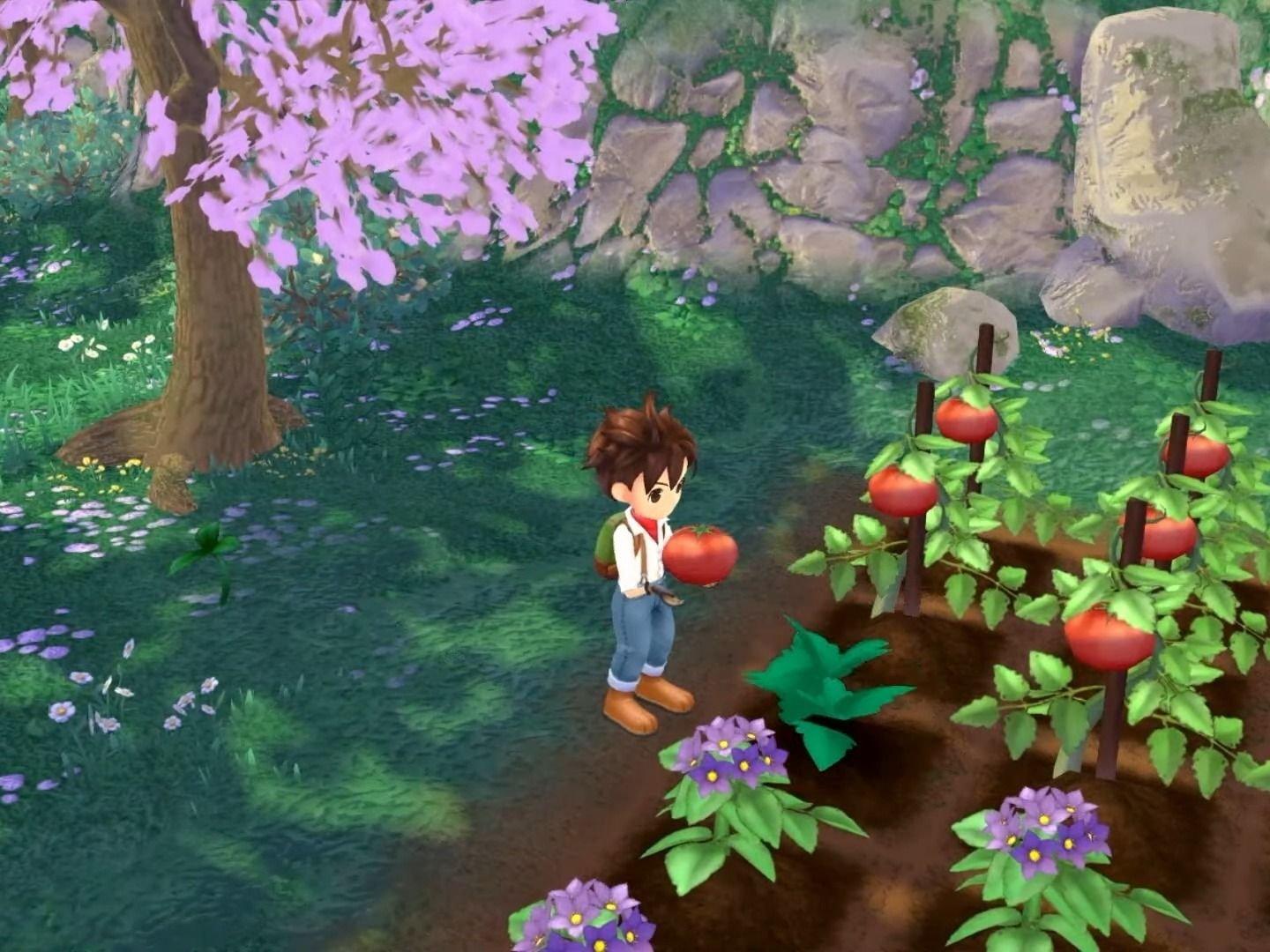 Harvest Moon: A Wonderful Life - GameCube - Image 3