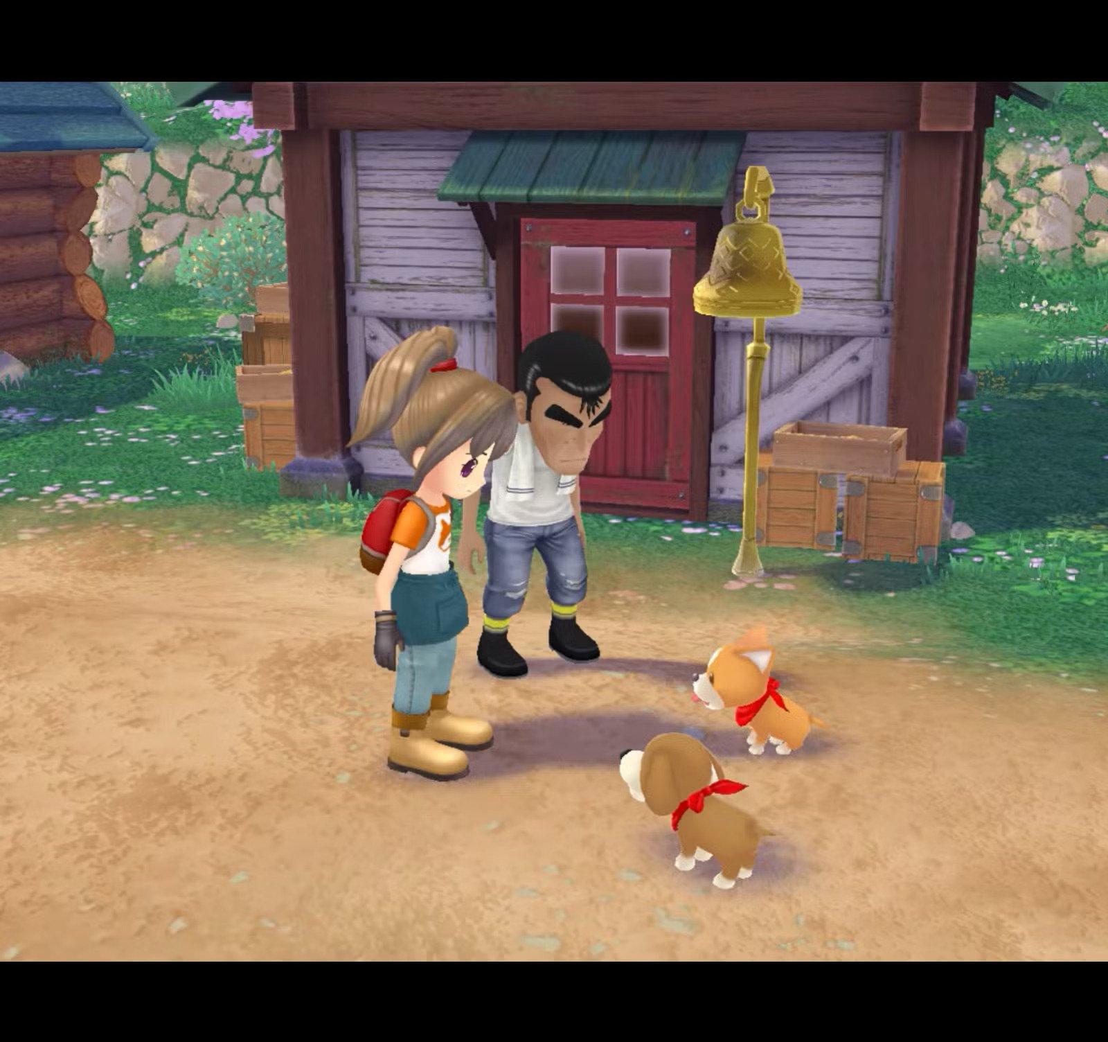 Harvest Moon: A Wonderful Life - GameCube - Image 4