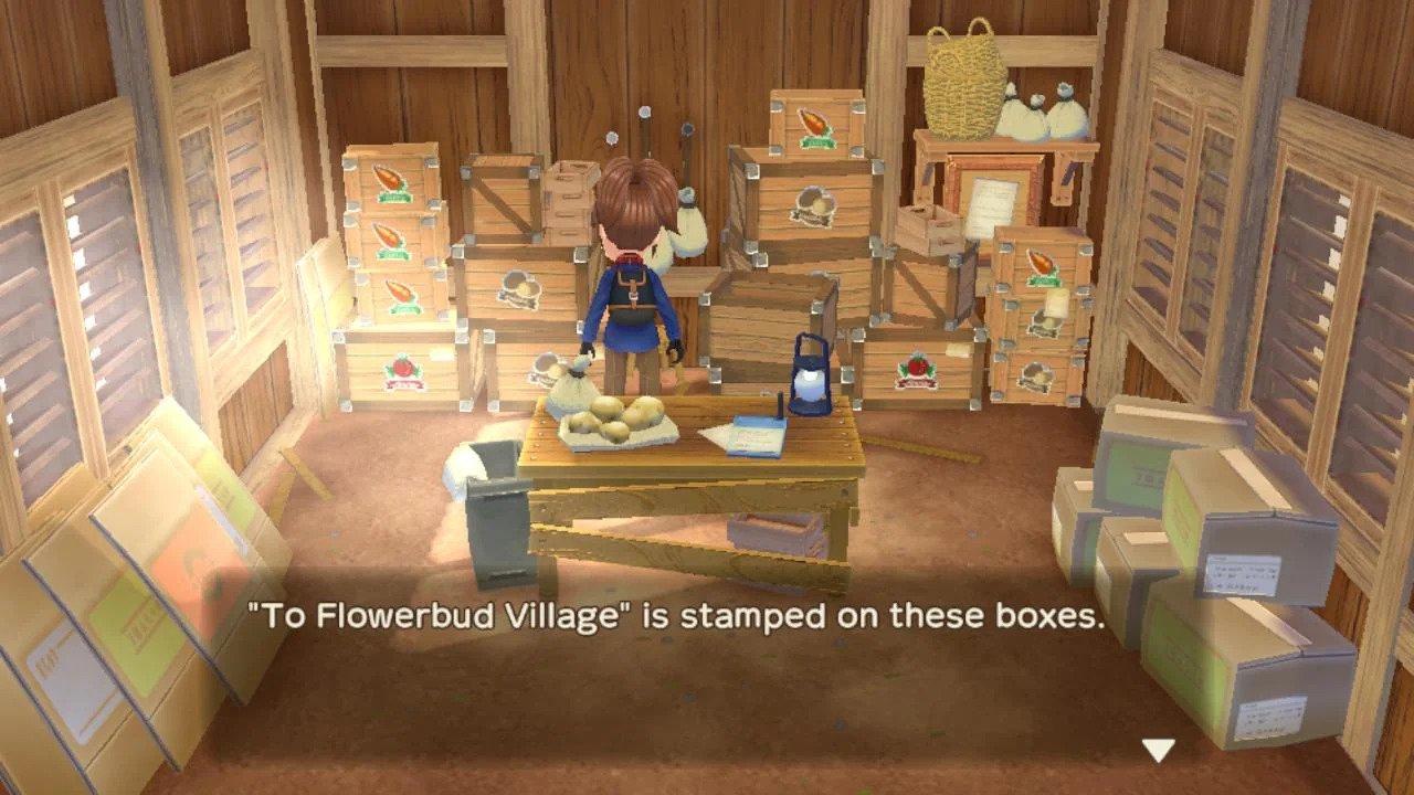 Harvest Moon: Magic Melody - GameCube - Image 4