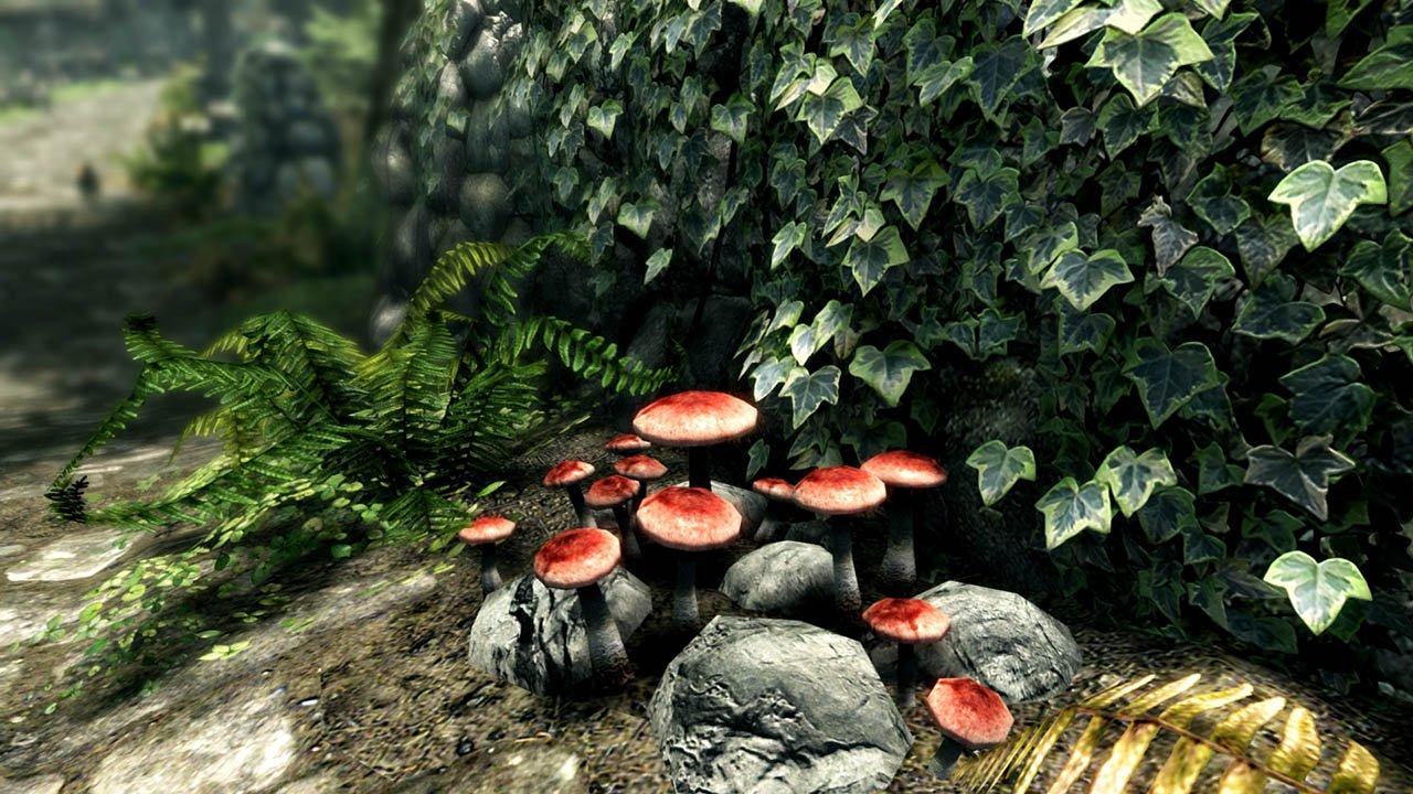The Elder Scrolls V: Skyrim Special Edition - Xbox One - Image 7
