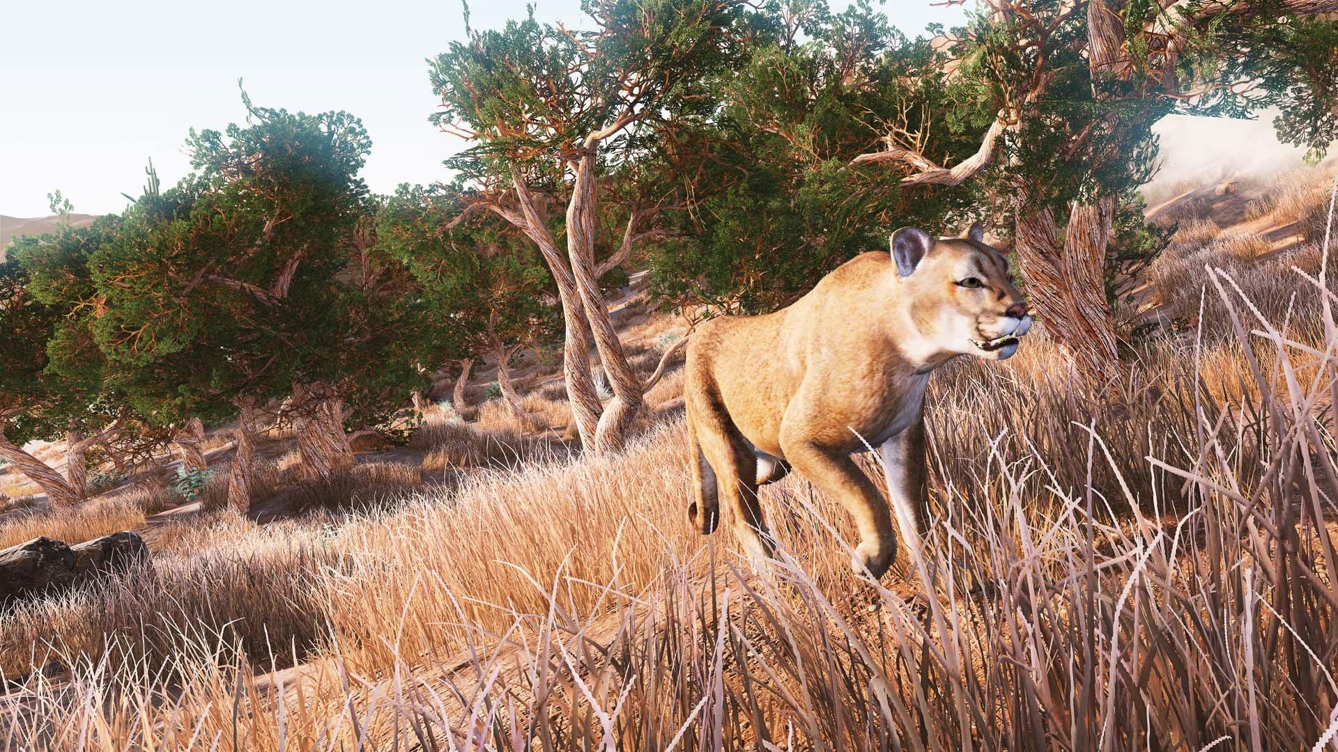 Hunting Simulator - Xbox One - Image 2