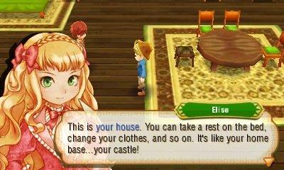 Story of Seasons - Nintendo 3DS - Image 5