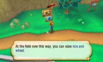Story of Seasons - Nintendo 3DS - Image 7
