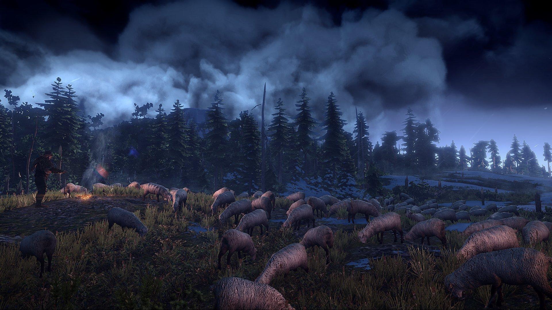 The Witcher III: Wild Hunt - PlayStation 4 - Image 8