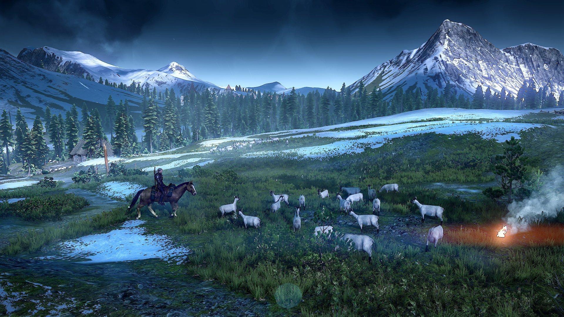 The Witcher III: Wild Hunt - PlayStation 4 - Image 10