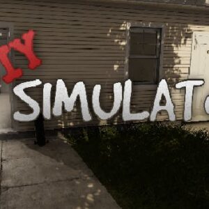 DIY Simulator