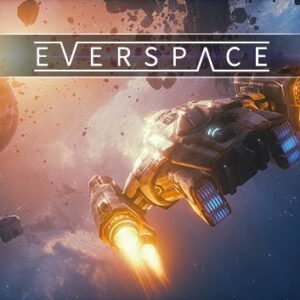 EVERSPACETM