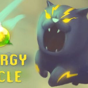Energy Cycle