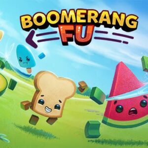 Boomerang Fu