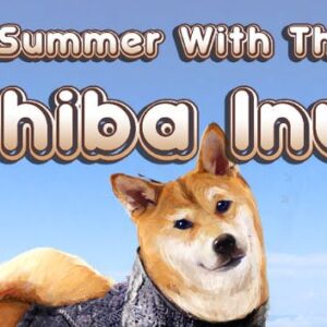 A Summer with the Shiba Inu