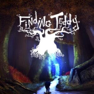 Finding Teddy