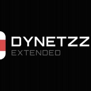 Dynetzzle Extended