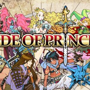 Code of Princess