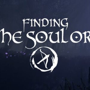 Finding the Soul Orb
