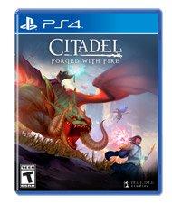 Citadel: Forged with Fire - PlayStation 4
