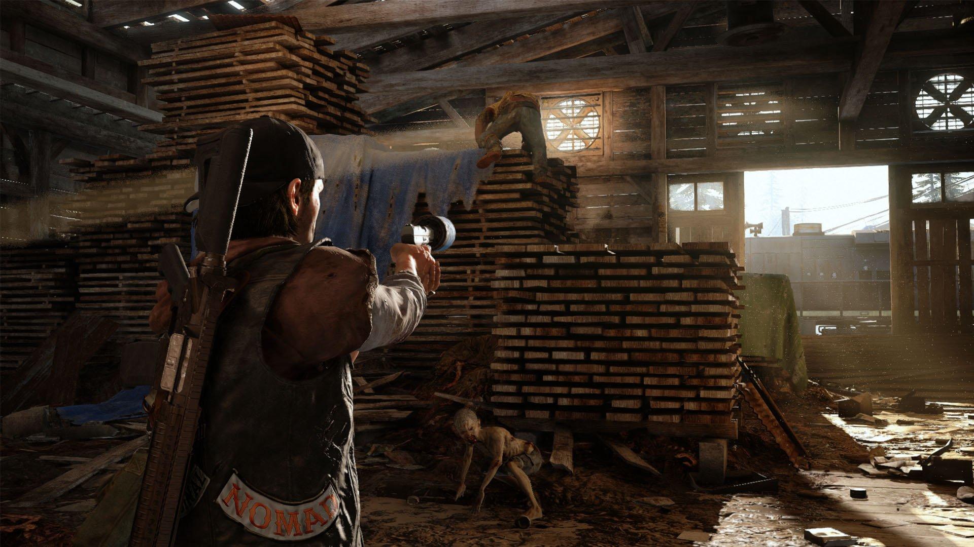Days Gone - PlayStation 4 - Image 3