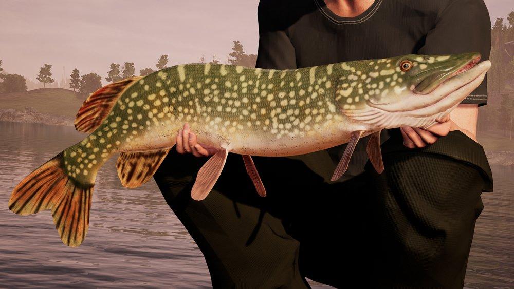Fishing Sim World - Xbox One - Image 3
