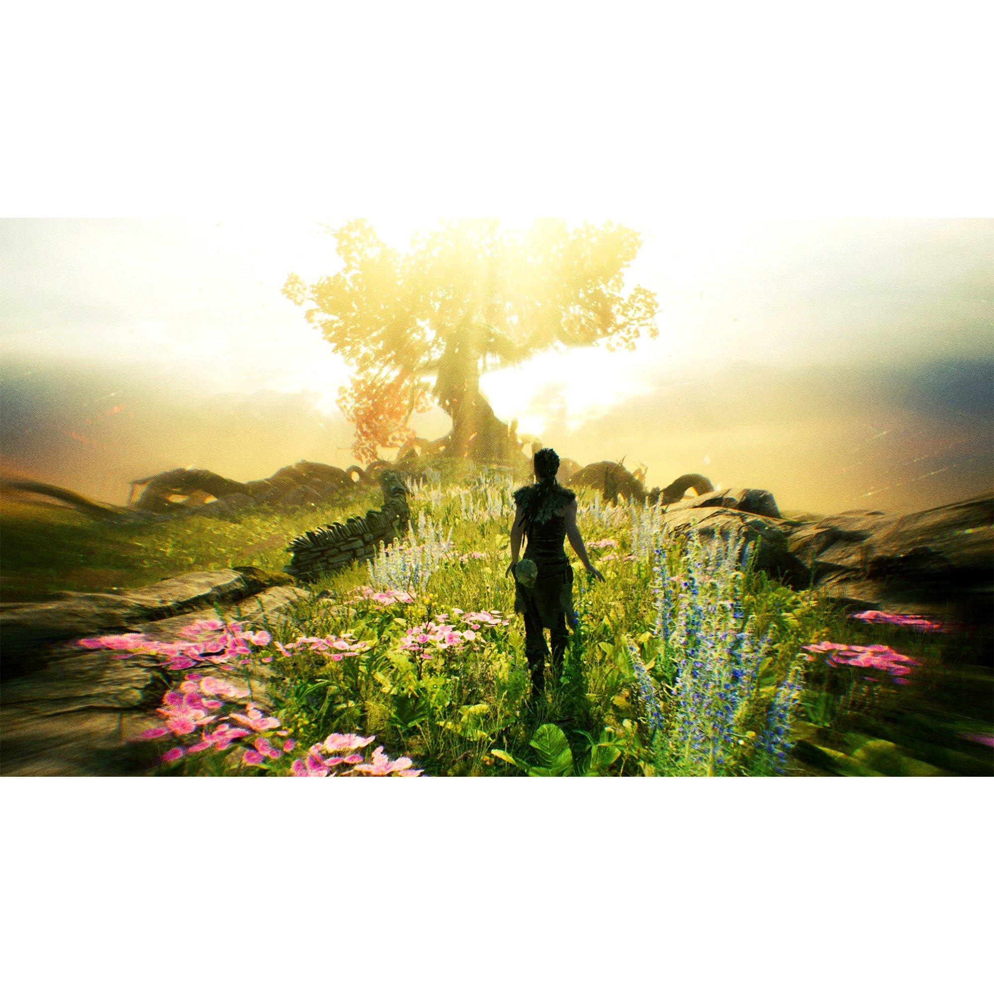 Hellblade Senua's Sacrifice - Xbox One - Image 2