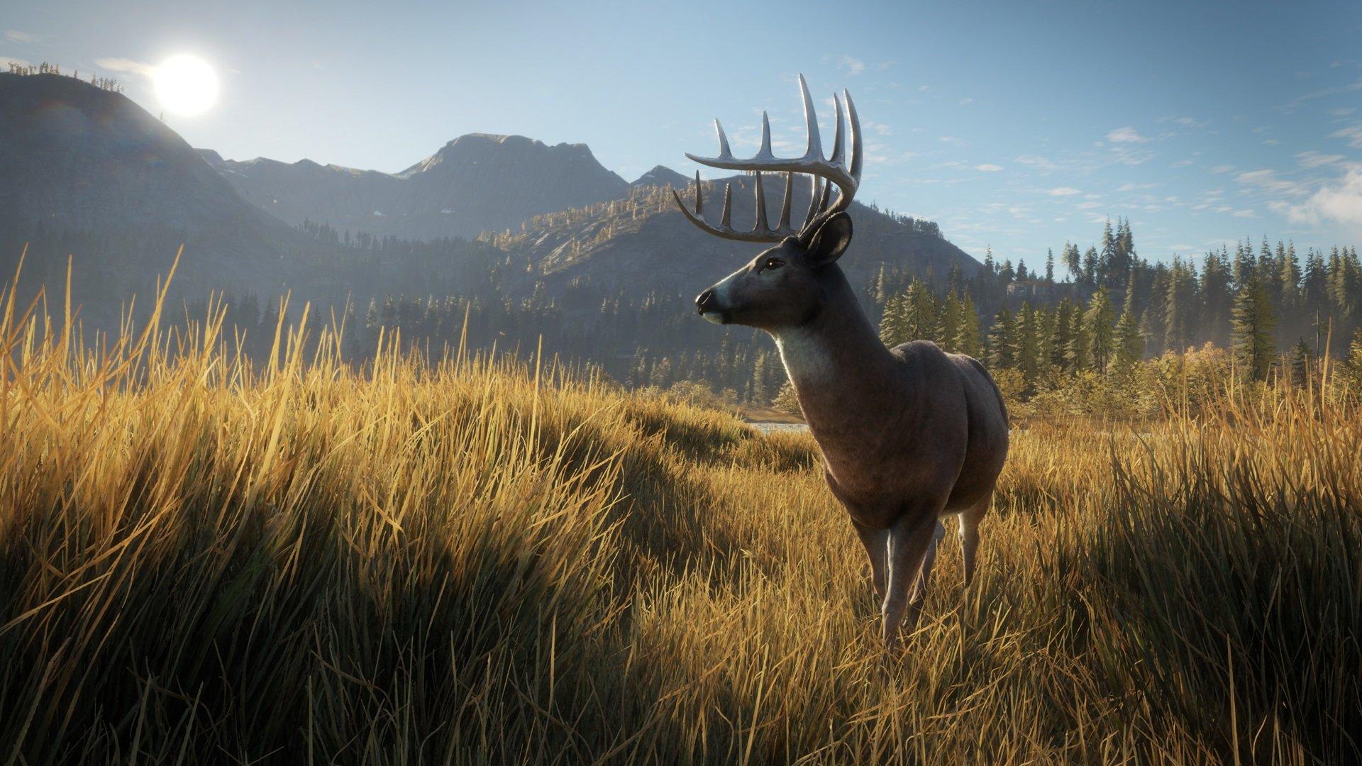 Hunter: Call of the Wild - PlayStation 4 - Image 2