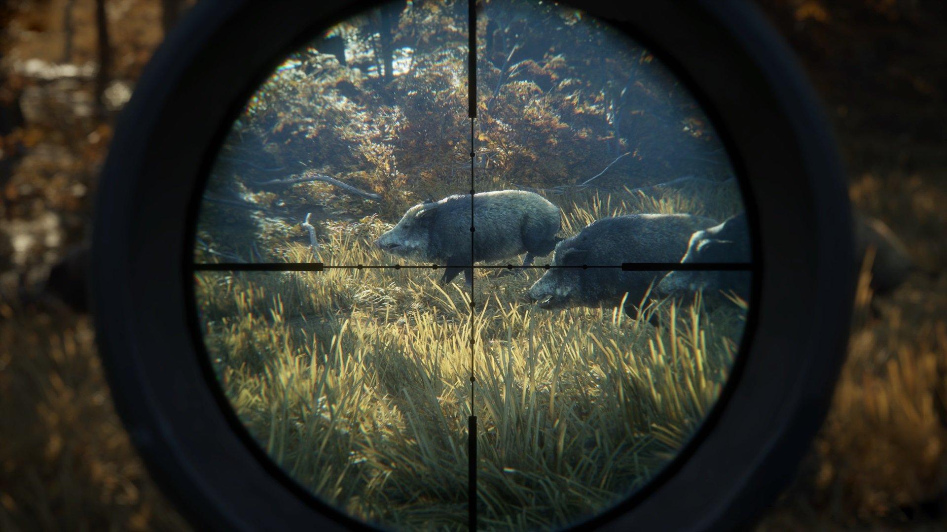 Hunter: Call of the Wild - PlayStation 4 - Image 5