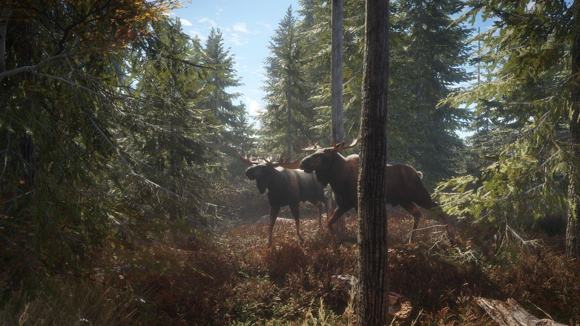 Hunter: Call of the Wild - PlayStation 4 - Image 7