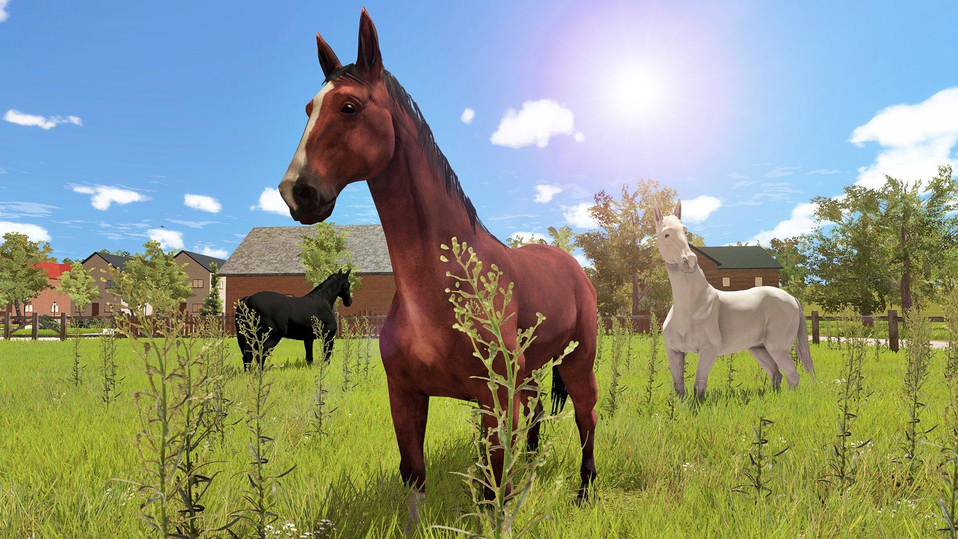 My Little Riding Champion - Nintendo Switch - Image 2