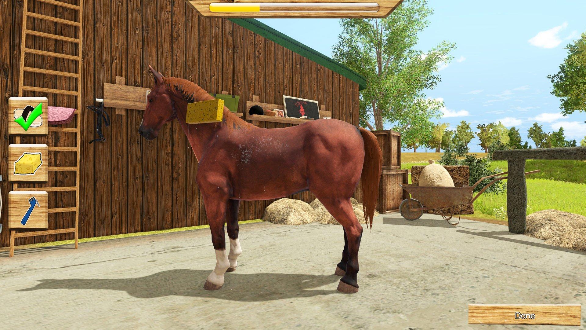 My Little Riding Champion - Nintendo Switch - Image 4