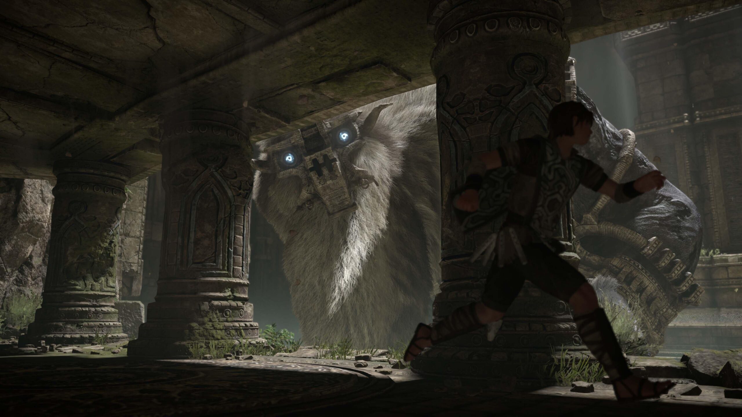 Shadow of the Colossus - PlayStation 2 - Image 3