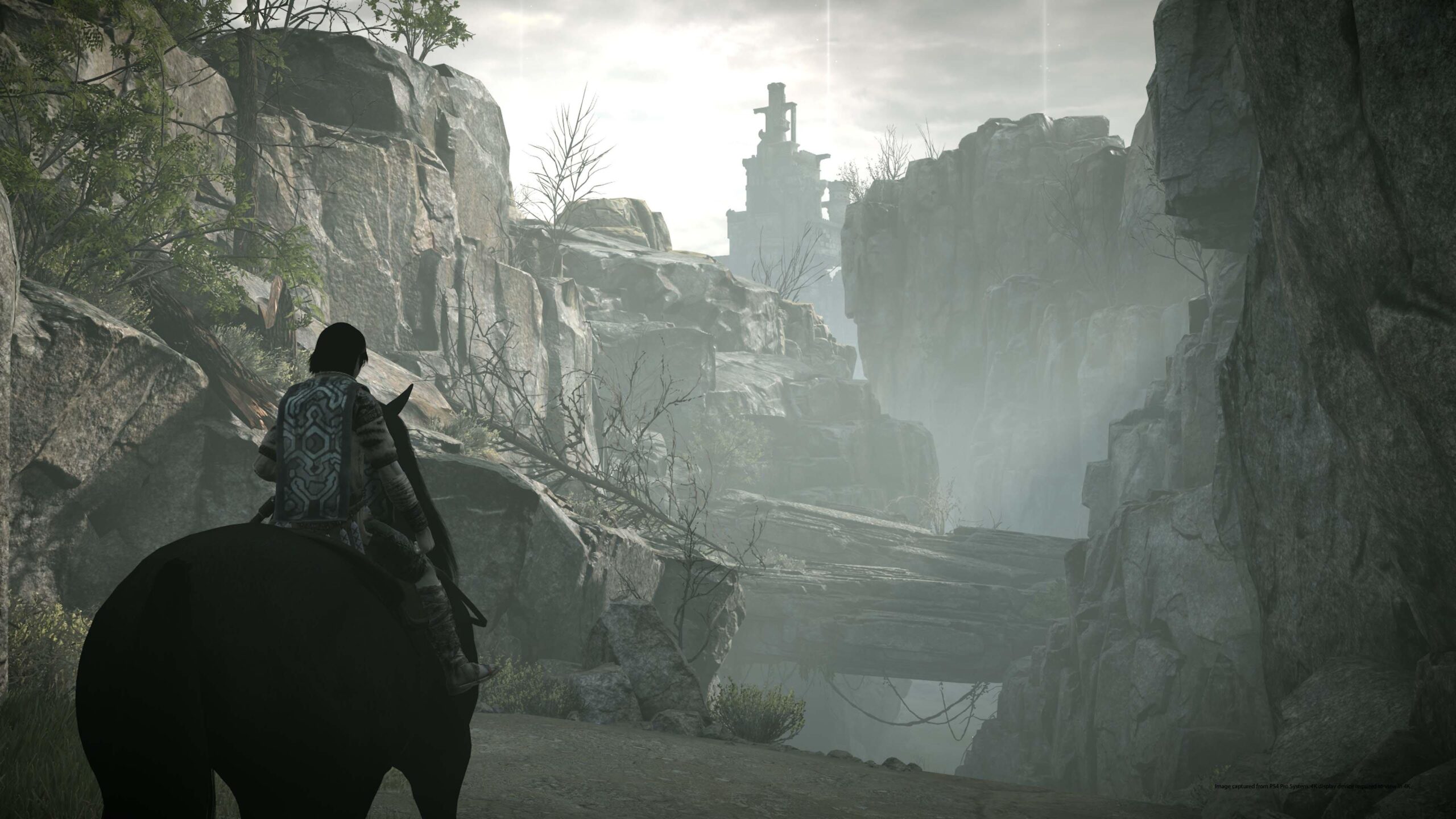 Shadow of the Colossus - PlayStation 2 - Image 8