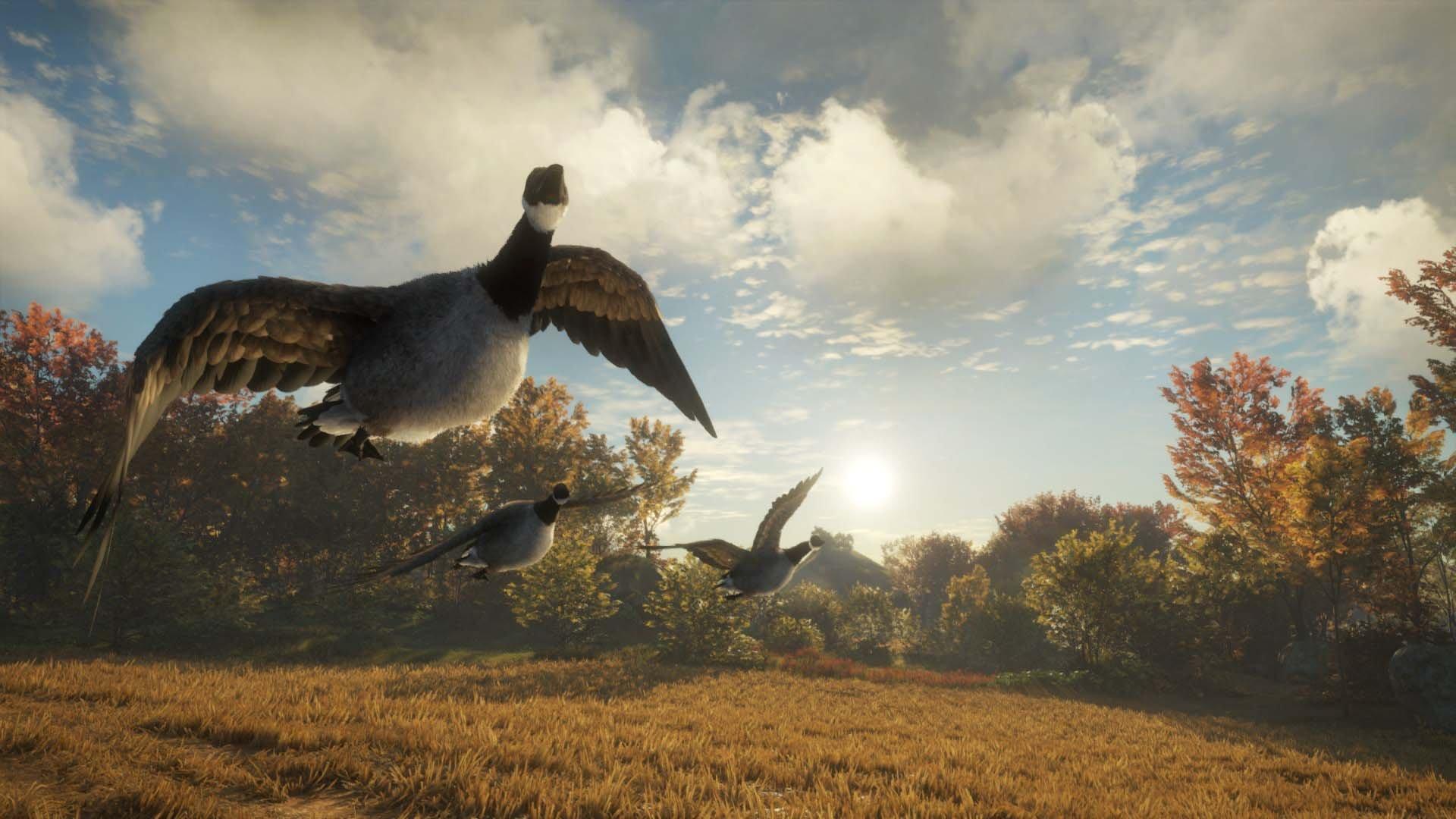 The Hunter: Call of the Wild 2019 Edition - PlayStation 4 - Image 2