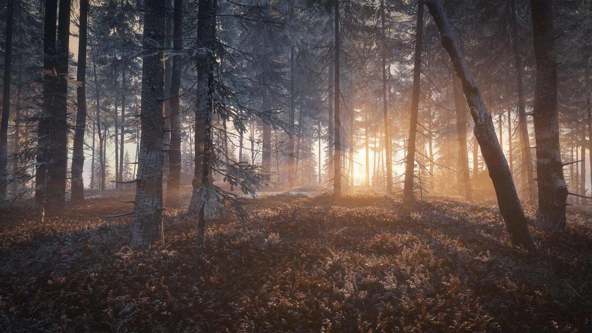 The Hunter: Call of the Wild 2019 Edition - PlayStation 4 - Image 6