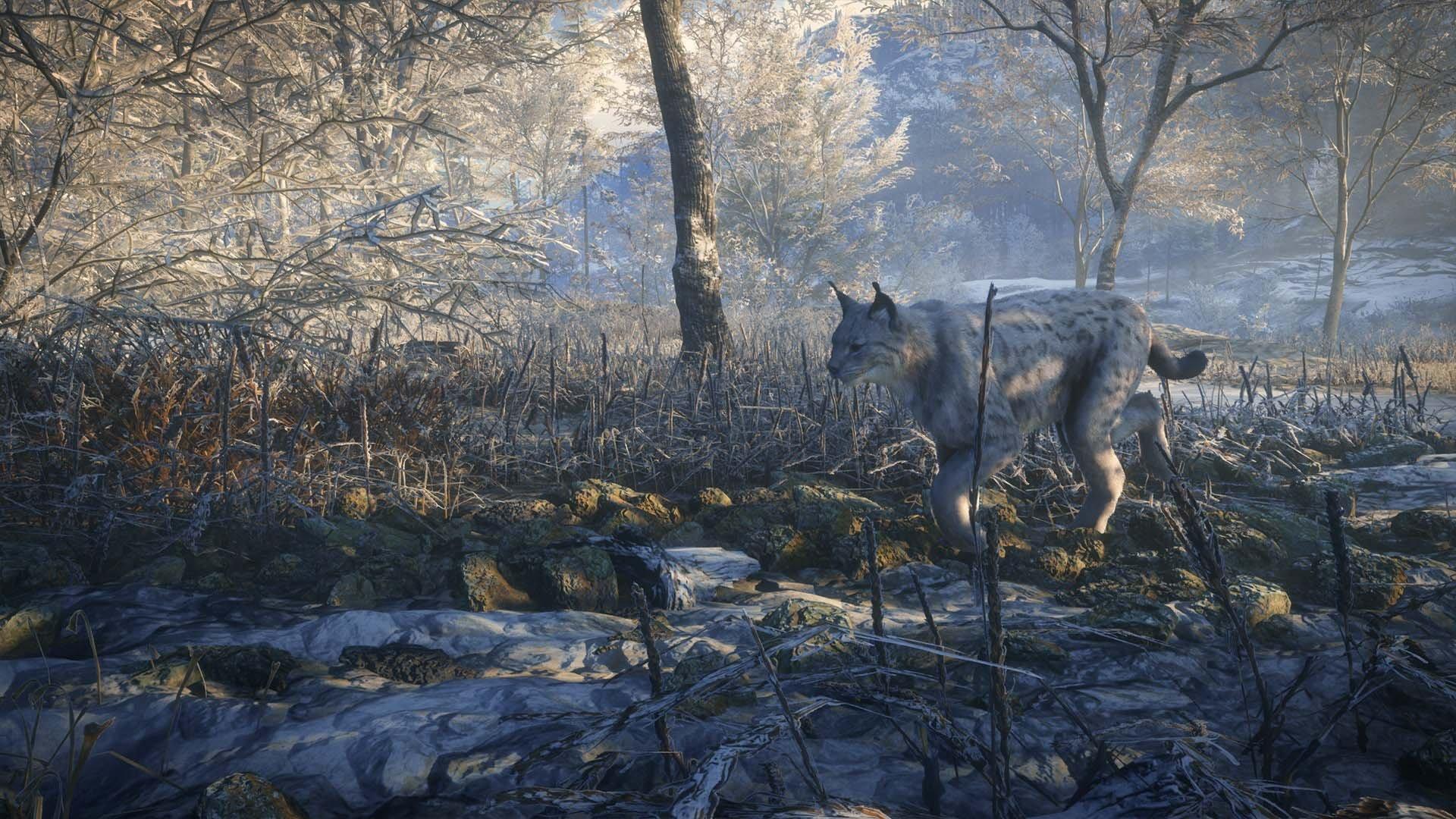 The Hunter: Call of the Wild 2019 Edition - PlayStation 4 - Image 7