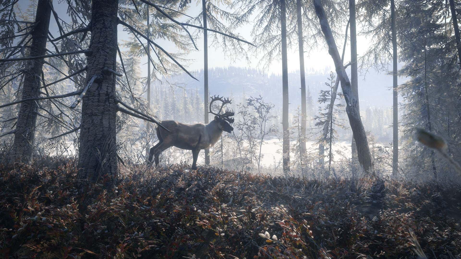 The Hunter: Call of the Wild 2019 Edition - PlayStation 4 - Image 8