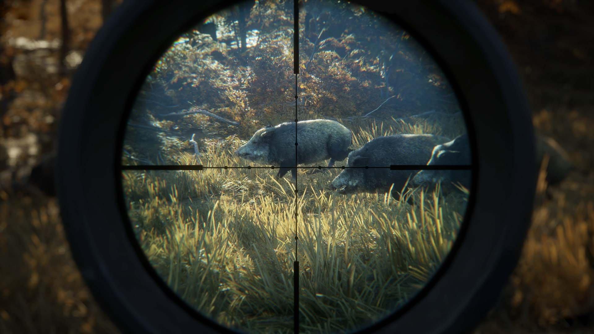 The Hunter: Call of the Wild 2019 Edition - PlayStation 4 - Image 9