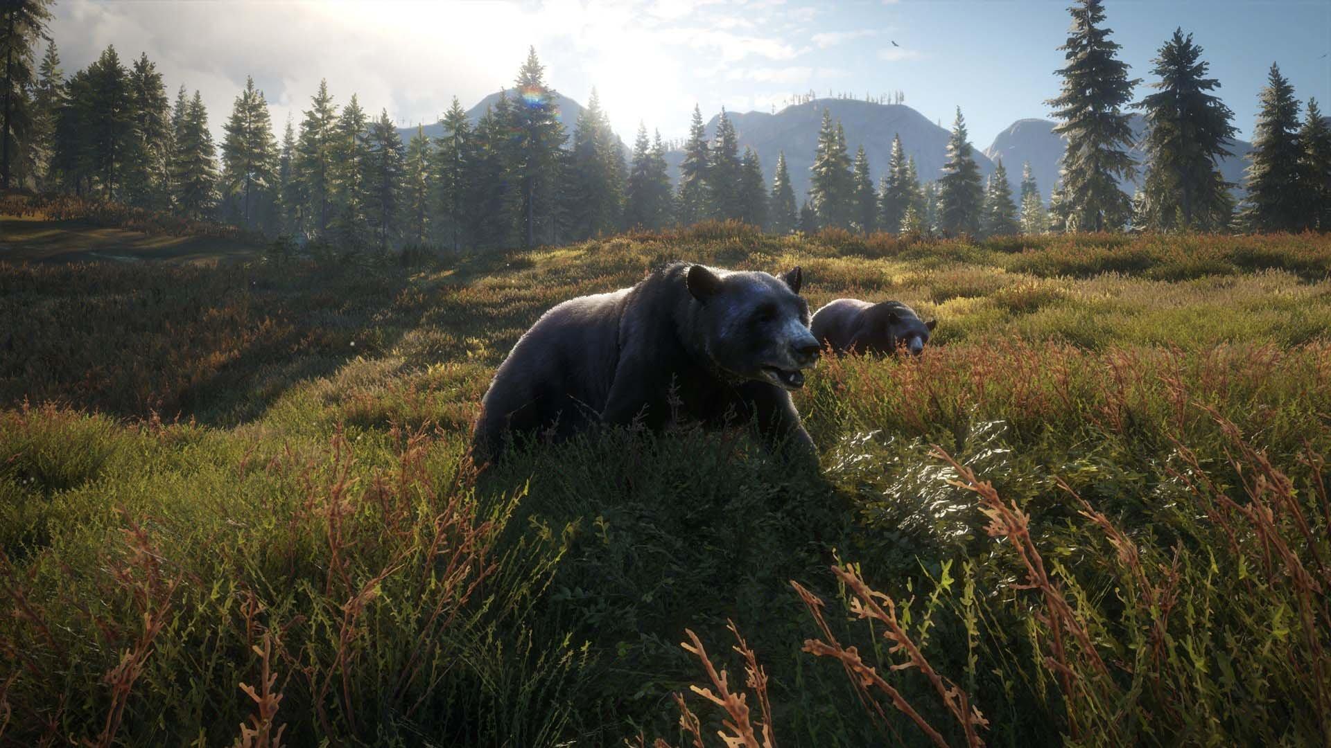 The Hunter: Call of the Wild 2019 Edition - PlayStation 4 - Image 10