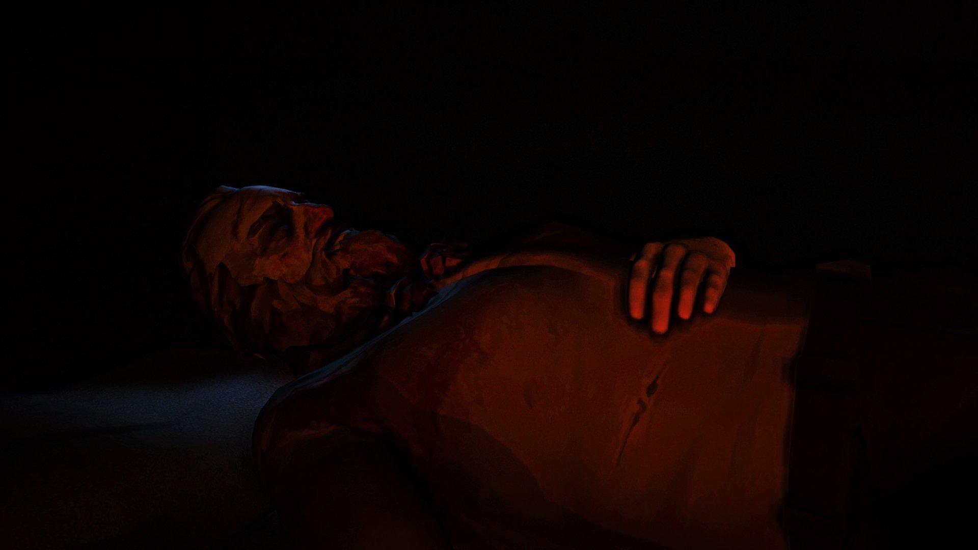 The Long Dark - PlayStation 4 - Image 2