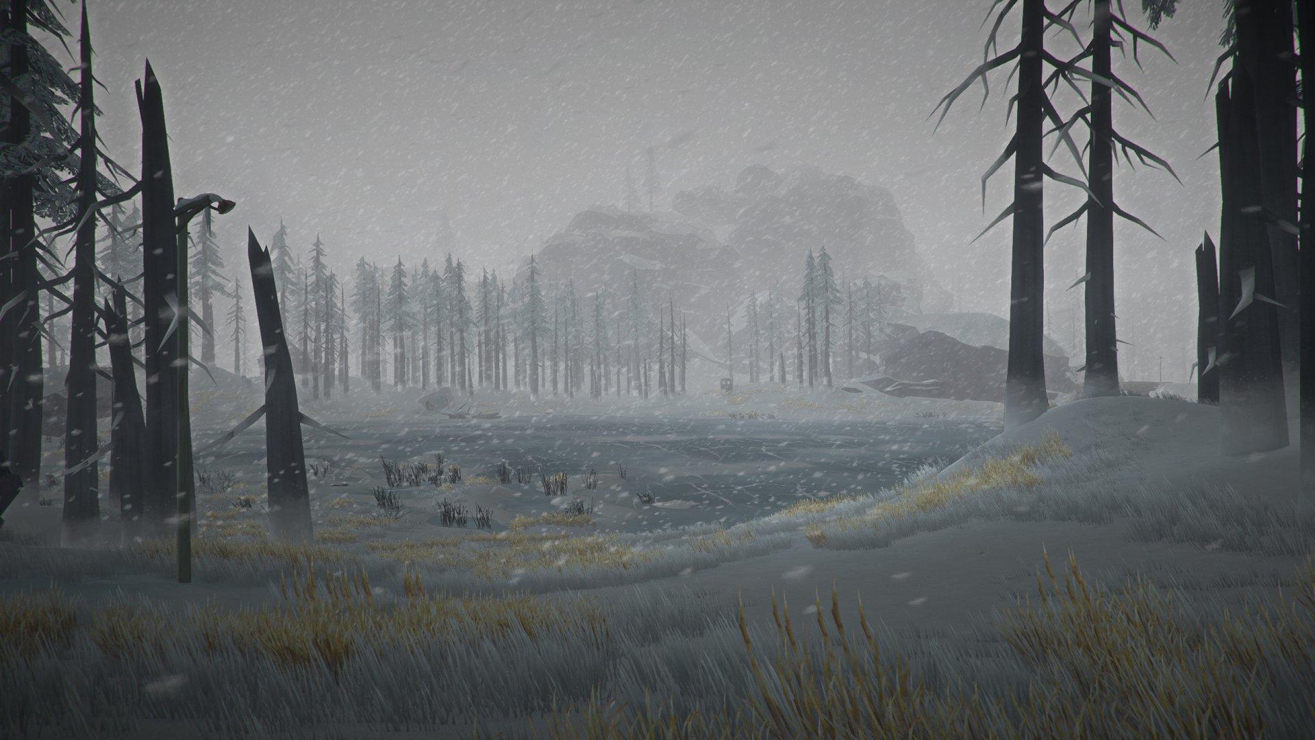 The Long Dark - PlayStation 4 - Image 4