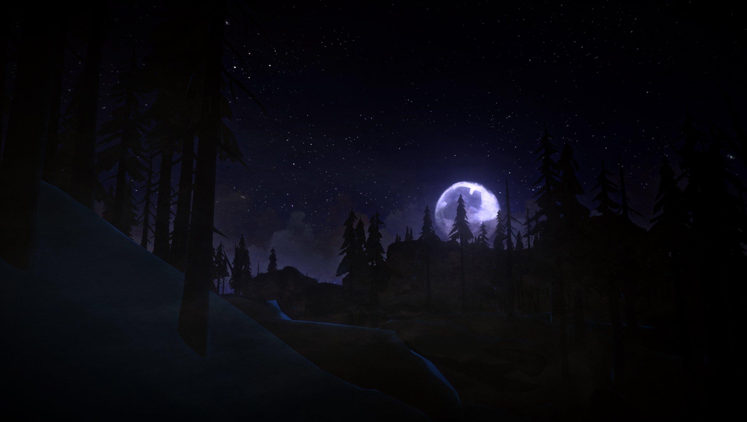 The Long Dark - PlayStation 4 - Image 7