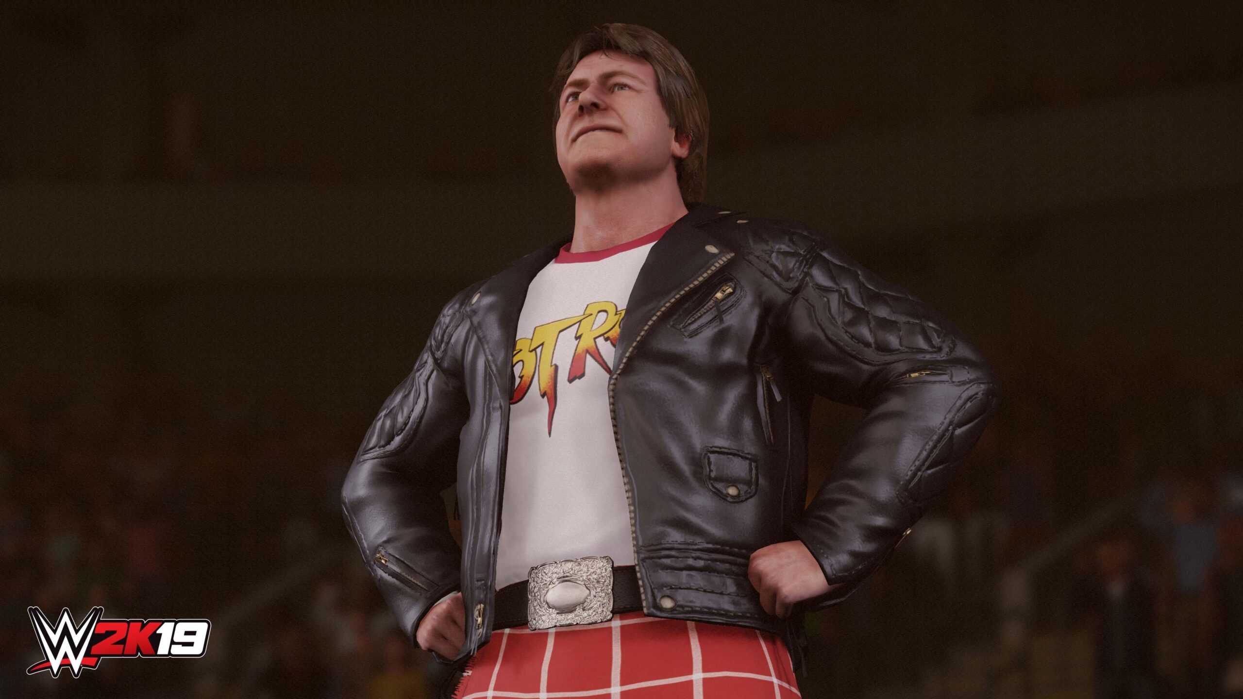 WWE 2K19 - PlayStation 4 - Image 3