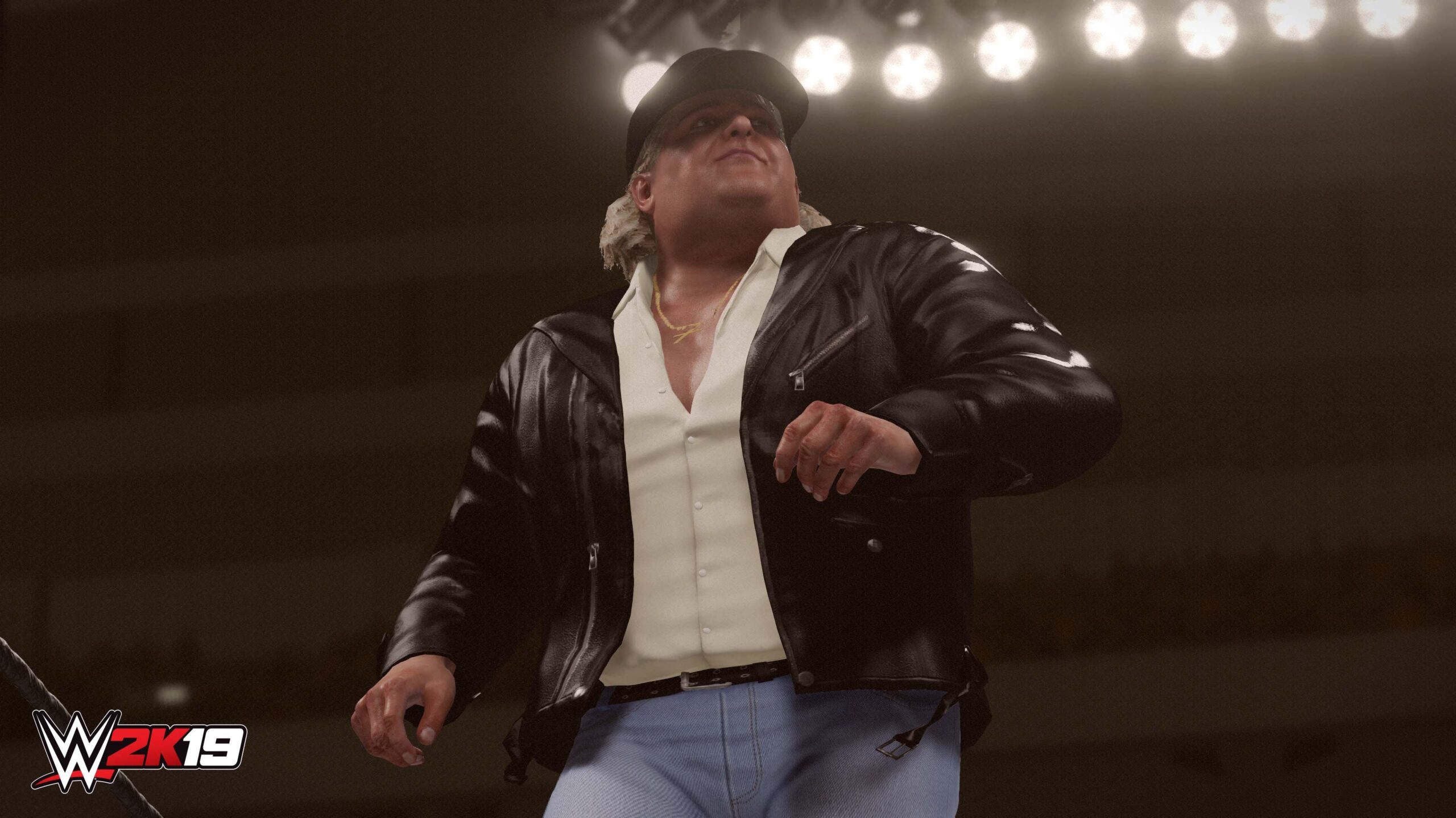 WWE 2K19 - PlayStation 4 - Image 7
