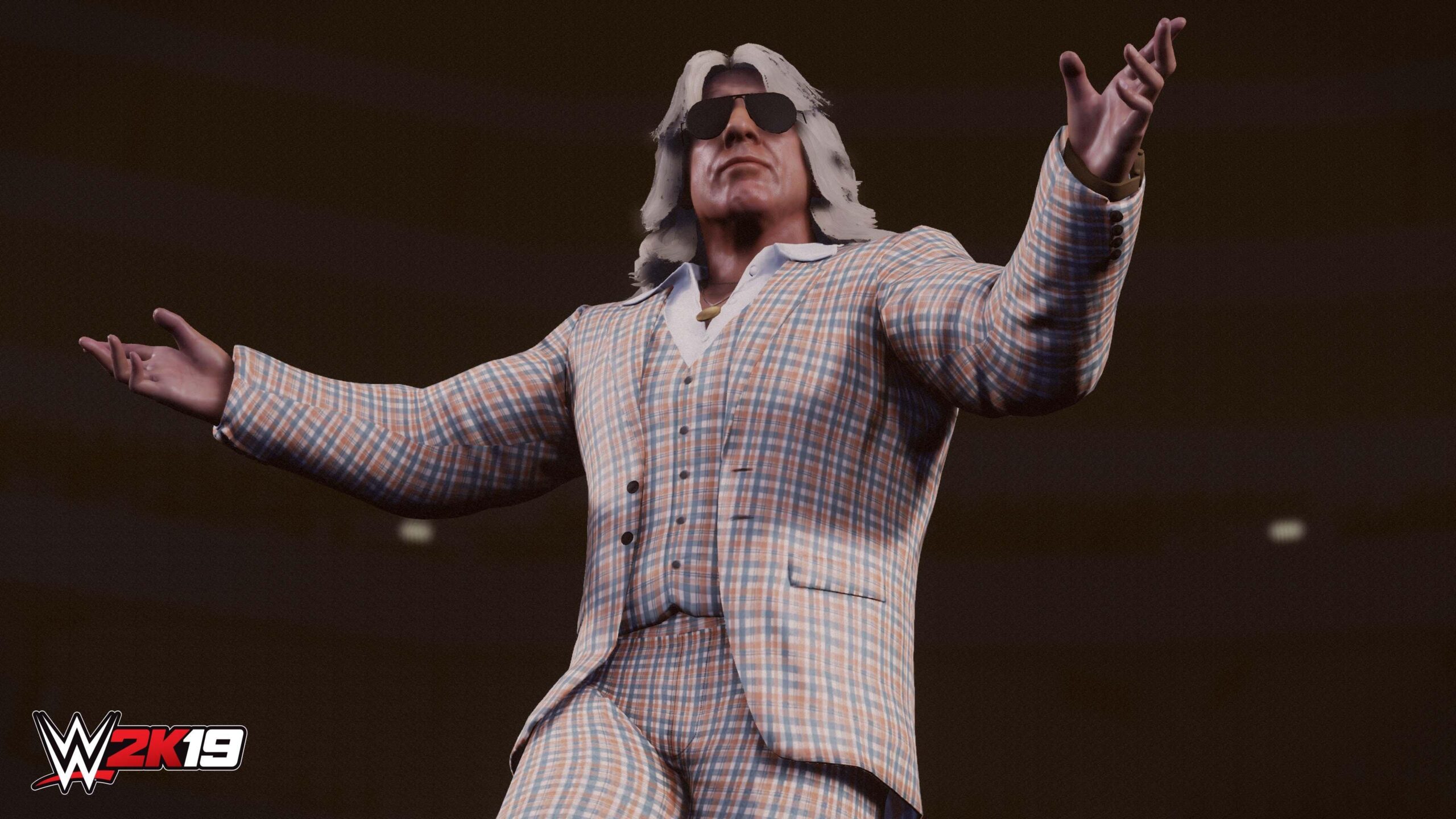 WWE 2K19 - Xbox One - Image 4
