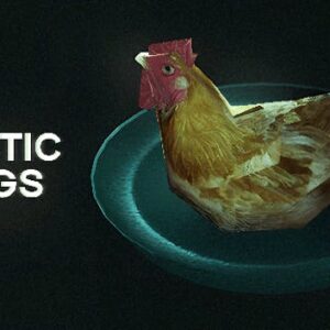 Arctic Eggs