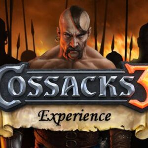 COSSACKS 3 EXPERIENCE