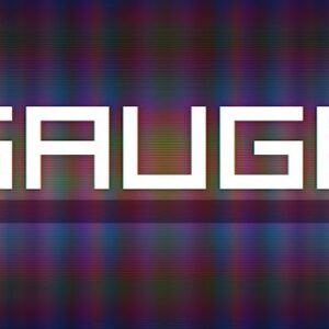 Gauge