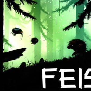 FEIST Deluxe Edition