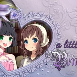 A Little Lily Princess