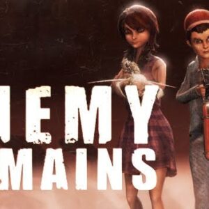 Enemy Remains