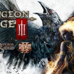 Dungeon Siege III