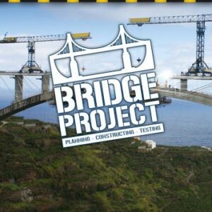 Bridge Project