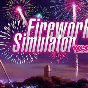 Fireworks Simulator